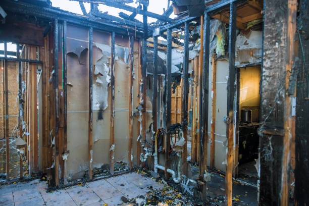 Professional Fire Damage Assessment technician working in Evart, MI